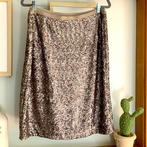 J. Jill Sequin Skirt, Size L, New with Tag